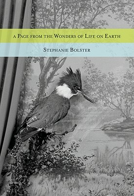 A Page from the Wonders of Life on Earth by Stephanie Bolster