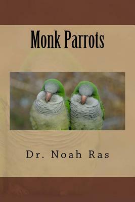 Monk Parrots by Noah Ras