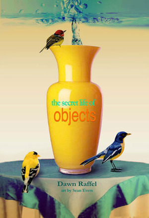 The Secret Life of Objects by Dawn Raffel, Sean Evers