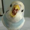 unlost's profile picture