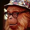 plaidbrarian's profile picture