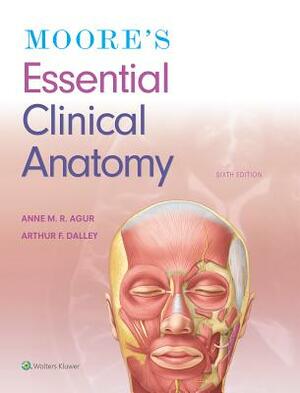 Moore's Essential Clinical Anatomy by Anne M. R. Agur, Arthur F. Dalley II