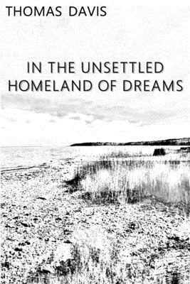 In the Unsettled Homeland of Dreams by Thomas Davis