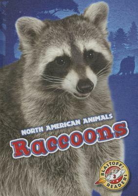 Raccoons by Chris Bowman