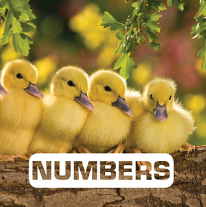 Numbers by Judith Nouvian