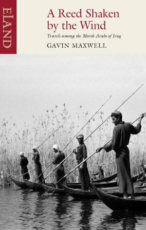 A Reed Shaken by the Wind: Travels among the Marsh Arabs of Iraq by Gavin Maxwell