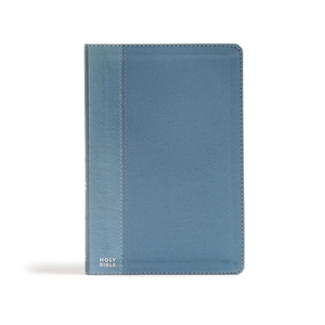 CSB Essential Teen Study Bible, Steel Leathertouch by Csb Bibles by Holman