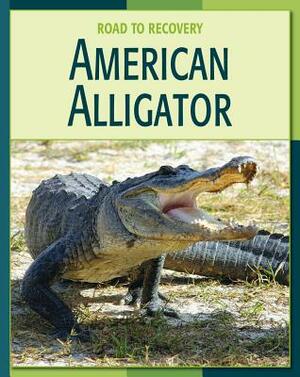 American Alligator by Susan H. Gray