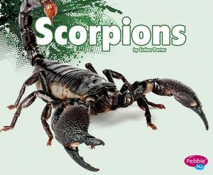 Scorpions by Esther Porter