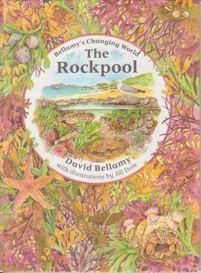 Bellamy's Changing World: The Rockpool (Bellamy's Changing World) by David Bellamy