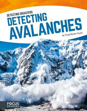 Detecting Avalanches by Trudi Strain Trueit