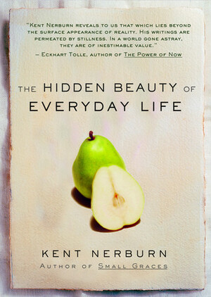 The Hidden Beauty of Everyday Life by Kent Nerburn