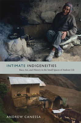 Intimate Indigeneities: Race, Sex, and History in the Small Spaces of Andean Life by Andrew Canessa