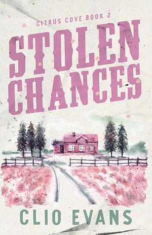 Stolen Chances by Clio Evans