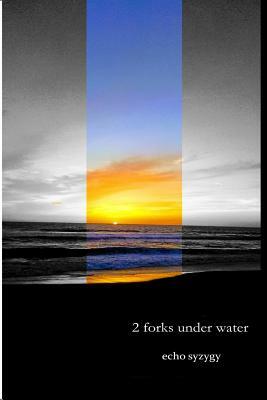 2 forks under water by Echo Syzygy