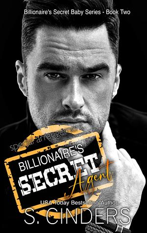 Special Arrangement: Billionaire's Secret Baby Book 2 by S. Cinders, S. Cinders