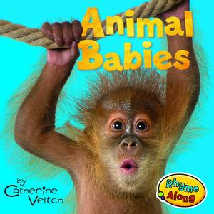 Animal Babies by Catherine Veitch