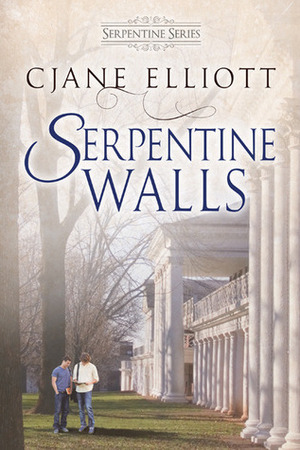 Serpentine Walls by CJane Elliott