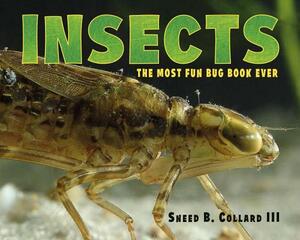 Insects: The Most Fun Bug Book Ever by Sneed B. Collard