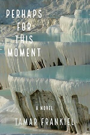 PERHAPS FOR THIS MOMENT: A NOVEL by Tamar Frankiel