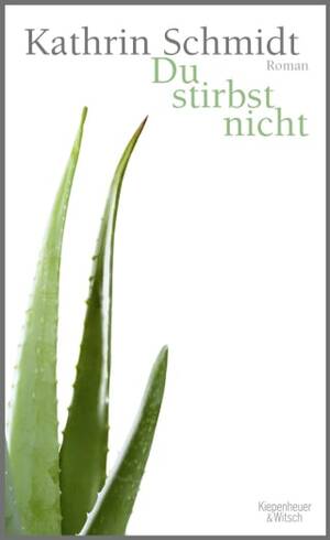 Du stirbst nicht by Kathrin Schmidt