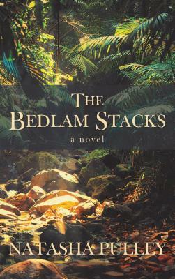 The Bedlam Stacks by Natasha Pulley