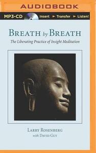 Breath by Breath: The Liberating Practice of Insight Meditation by Larry Rosenberg