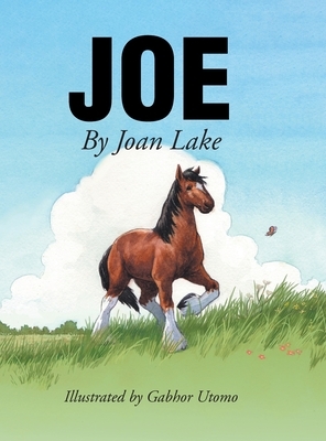 Joe by Joan Lake