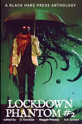 Lockdown Phantom #2 by 