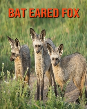 Bat Eared Fox: Learn About Bat Eared Fox and Enjoy Colorful Pictures by Diane Jackson