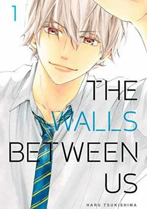 The Walls Between Us Vol. 1 by Haru Tsukishima