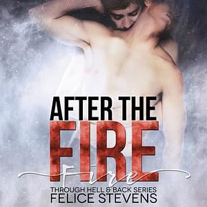 After the Fire by Felice Stevens