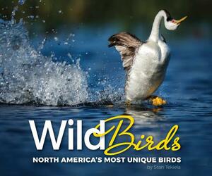 Wild Birds: North America's Most Unique Birds by Stan Tekiela