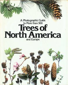 Trees of North America and Europe by Roger Phillips