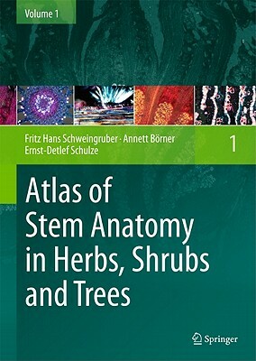 Atlas of Stem Anatomy in Herbs, Shrubs and Trees, Volume 1 by Fritz Hans Schweingruber, Annett Börner, Ernst-Detlef Schulze