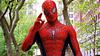 i_heart_new_york's profile picture