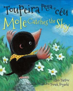 Mole Catches the Sky (Portuguese/English) by Ellen Tarlow
