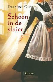 Schoon in de sluier by Deeanne Gist