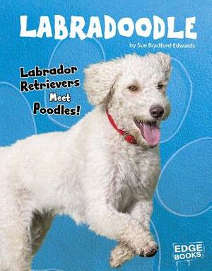 Labradoodle: Labrador Retrievers Meet Poodles! by Sue Bradford Edwards