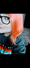 hilstarfall's profile picture