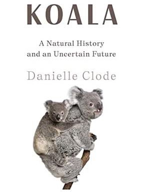 Koala: A Natural History and an Uncertain Future by Danielle Clode