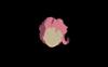 chiinthedesert's profile picture