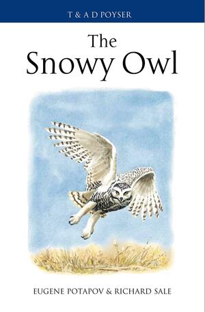 The Snowy Owl by Richard Sale, Eugene Potapov