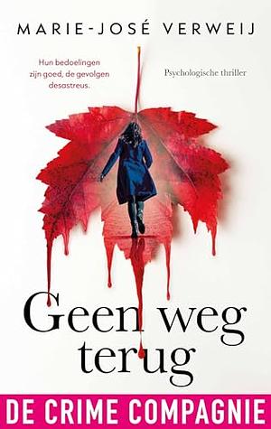 Geen weg terug by Marie-José Verweij