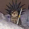 irenegeminian's profile picture
