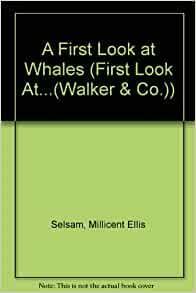 A First Look at Whales by Millicent E. Selsam