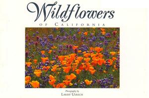 Wildflowers of California: Twenty Postcards by Susan Lamb