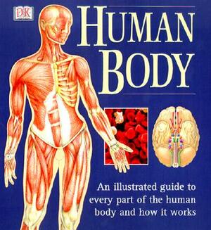 The Human Body: An Illustrated Guide to Every Part of the Human Body and How It Works by Martyn Page