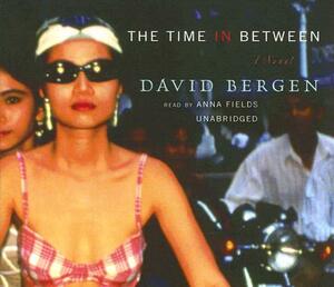 The Time in Between by David Bergen