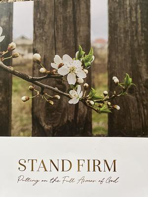 Stand Firm - Putting on the Full Armor of God by Aubrey Coleman, The Daily Grace Co.